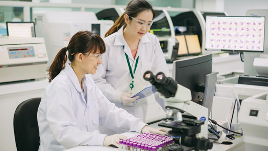 The Art and Science of Awase Dashi: Crafting Japanese Culinary Soul at Home – A Deeper Dive