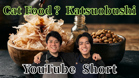 Cat Food or Human Food? The Secret of Japanese Umami "Katsuobushi"